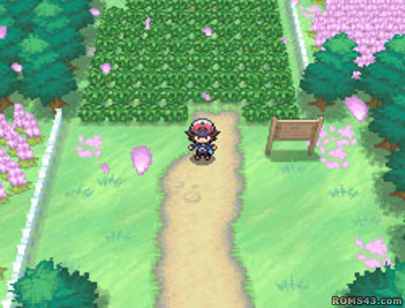 Pokemon Weisse Edition 2 German Nds Ds Rom Download